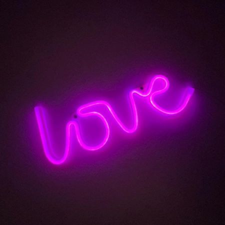 Love Room 208 Appartement 30M2 Lambersart エクステリア 写真