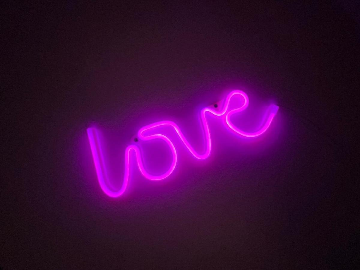 Love Room 208 Appartement 30M2 Lambersart エクステリア 写真