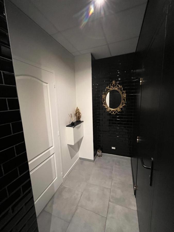 Love Room 208 Appartement 30M2 Lambersart エクステリア 写真